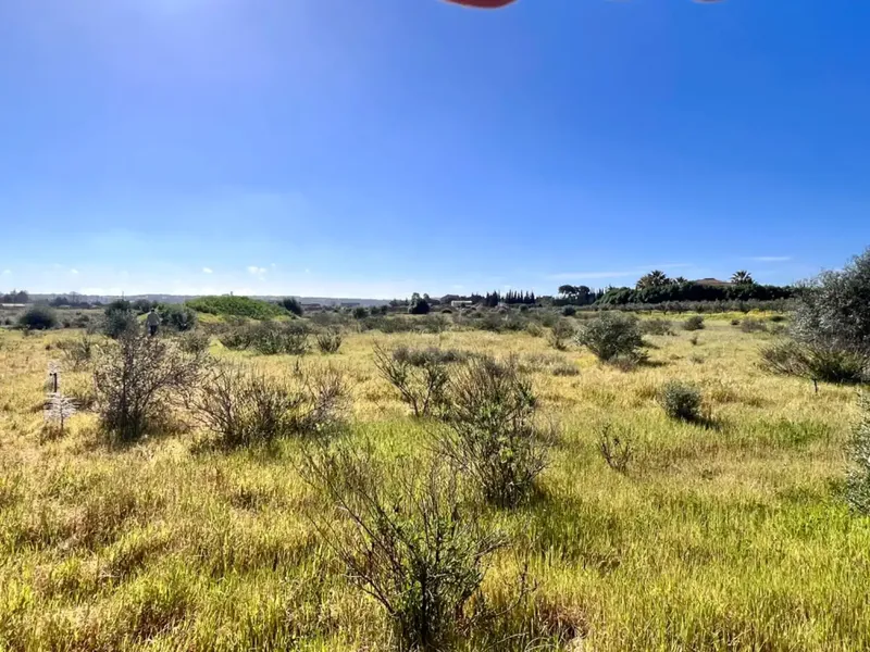 Rustic estate between Sa Pobla and Muro, with over 21,700 m2 of land and several constructions, one of them a large safareig and the other a — photo 2