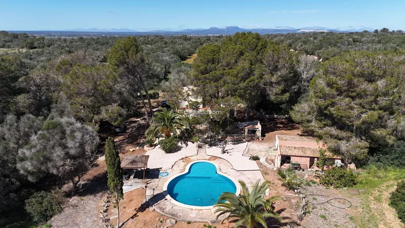 Country house in Ses Salines — photo 2
