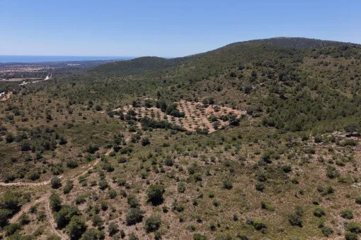 Cala Mandia, Unique plot with spectacular sea views and building project in Manacor — photo 12