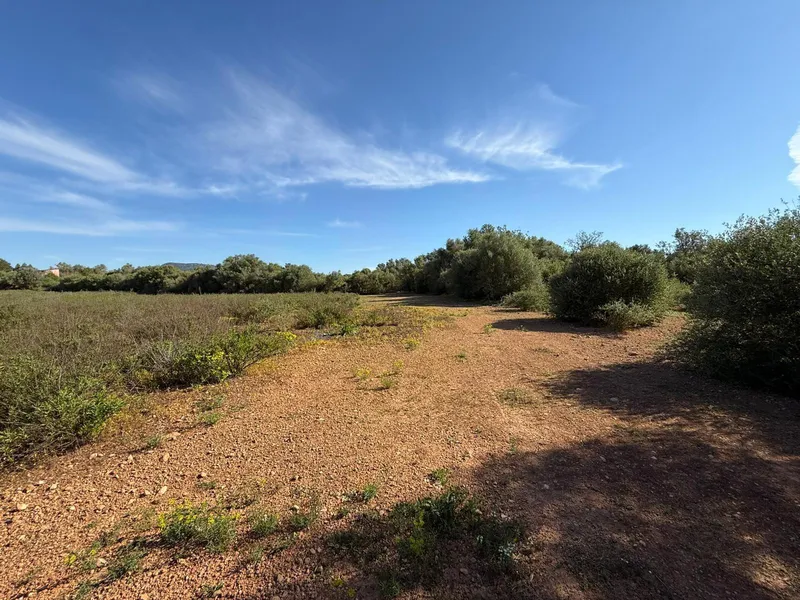 Rustic plot with project and favorable resolution in Llucmajor — photo 11