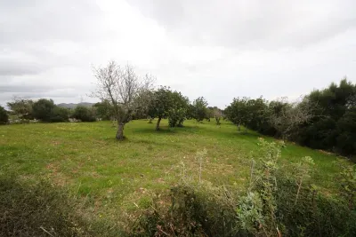 3551 meter estate in Sant Llorenç des Cardassar — photo 1