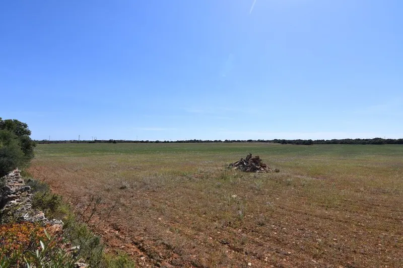 Rustic plot with unobstructed views 5 minutes from Santanyi — photo 4
