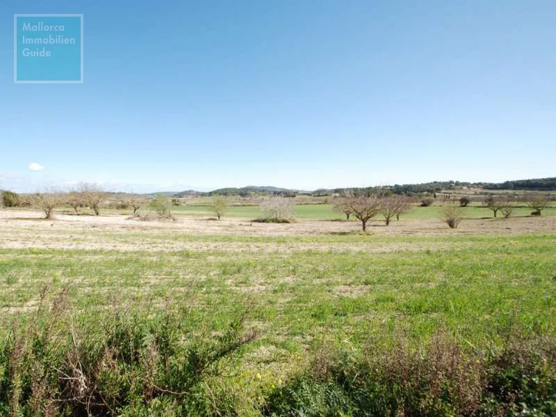 New finca with vineyard close to Porreres — photo 3
