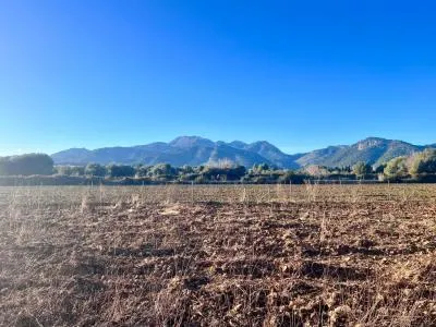 Rustic property - Campanet (Nucleo urbano 55), Built Surface 80m², Plot Surface 4476m² — photo 2