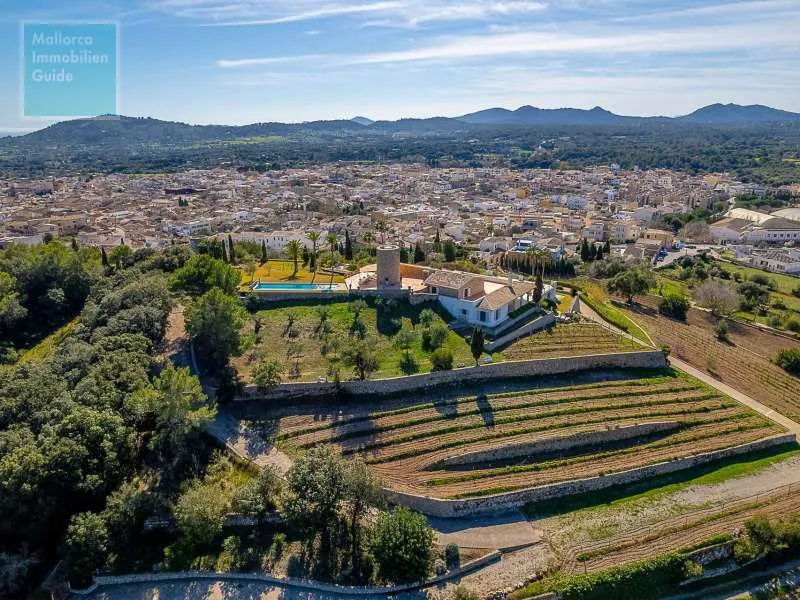 Artà, luxurious finca property with guest house and vineyard — photo 5