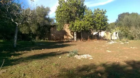 Rustic property - Inca (Zona periurbana), Plot Surface 9000m² — photo 5