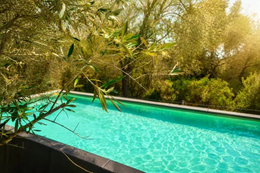 Canyamel, first occupancy after renovation: finca for long-term rent in Canyamel — photo 4