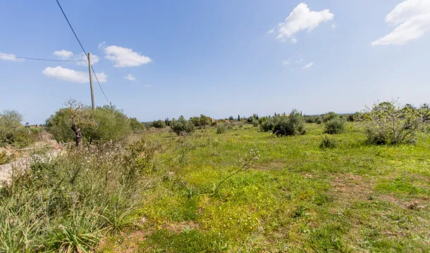 Sea-view plot just 10 minutes from Porto Cristo — photo 3