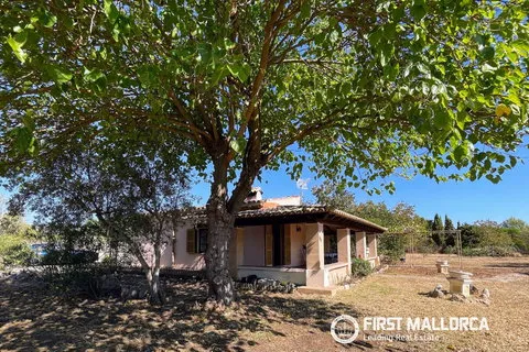 Country house in Pollenca, Mallorca — photo 7