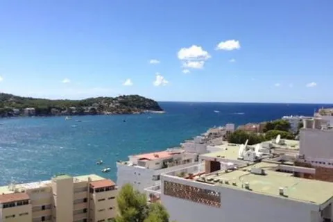 Apartment in Costa De La Calma, Mallorca — photo 12