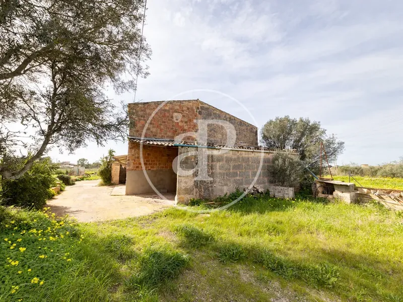 Farm house in Campos, Mallorca — photo 2