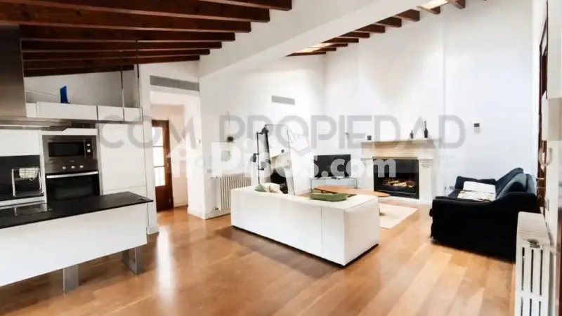 Apartment in La Seu — photo 2