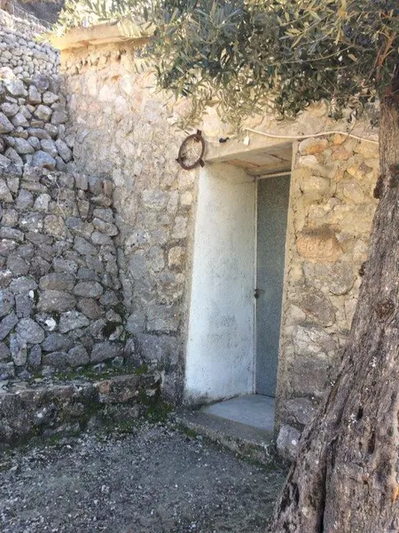 Beautiful olive grove with porch and car access in Fornalutx — photo 10