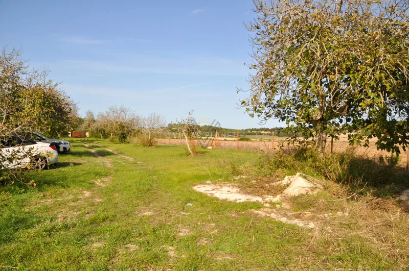 Rustic building plot with... — photo 11