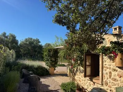 Urbanizable land - Costitx (Costitx) — photo 1