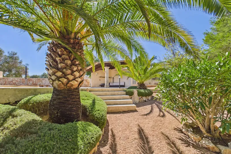 Por encima del encantador pueblo de Son Macià se encuentra esta finca tan especial, que combina de forma única la tranquilidad, la privacida — photo 2