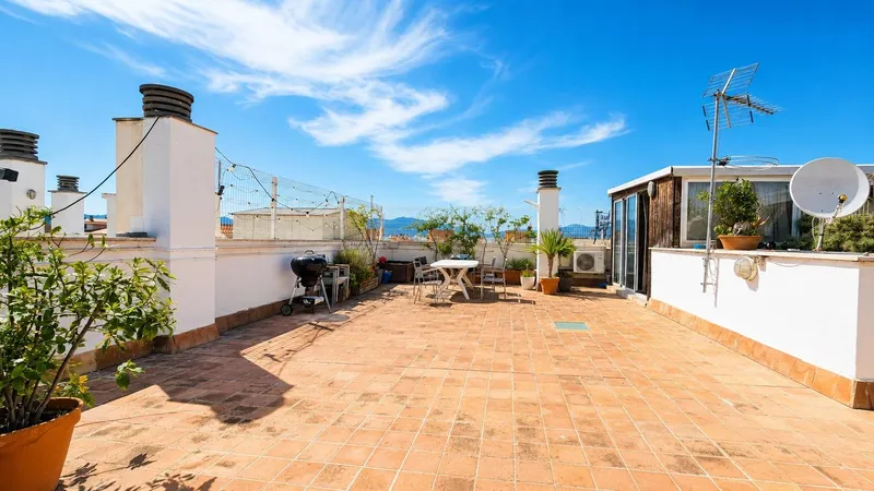 Penthouse with large terrace and private solarium in Palma — photo 2
