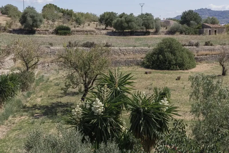 Unique opportunity in Inca, Son Amonda! Ideal for families or investors! — photo 10