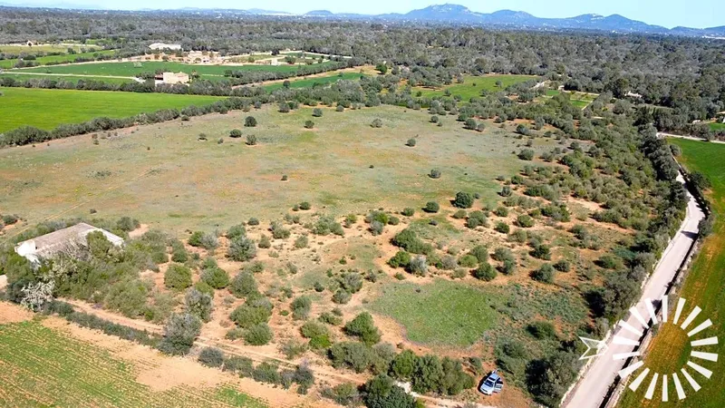 Country Estate for sale in Campos of 62000 m2 — photo 10