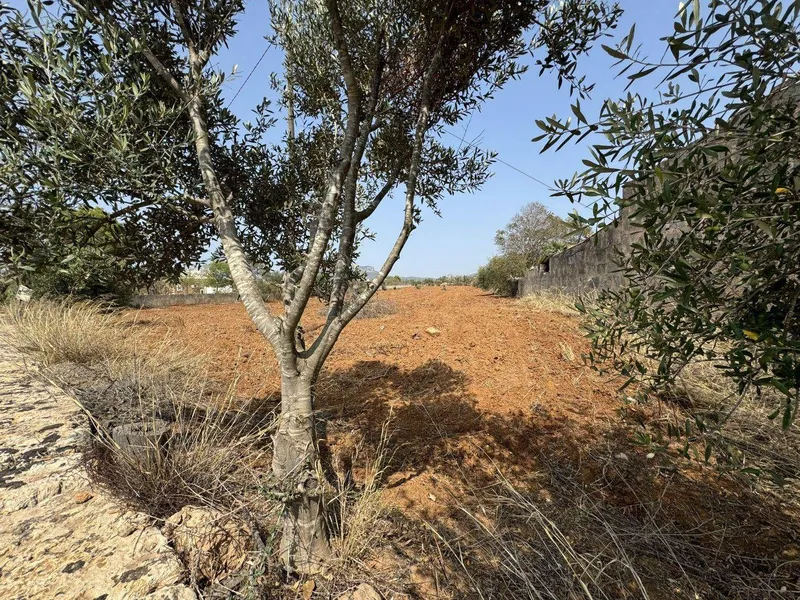 Magnificent property in Llucmajor — photo 1
