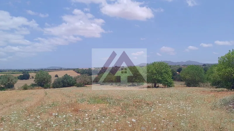 Rural land for sale in Vilafranca de Bonany — photo 4