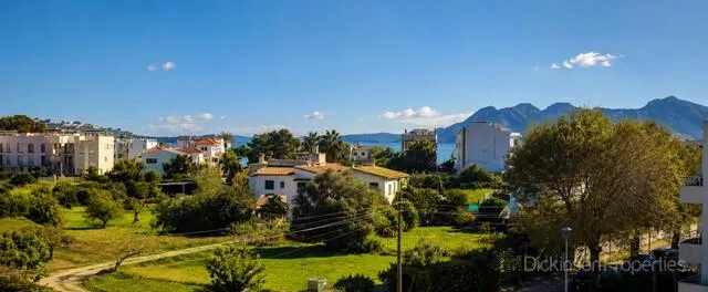 Charming apartment in Puerto de Pollensa — photo 9