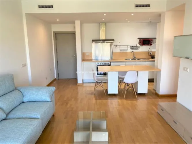 Apartment in Palma de Mallorca, Son Puig area — photo 6