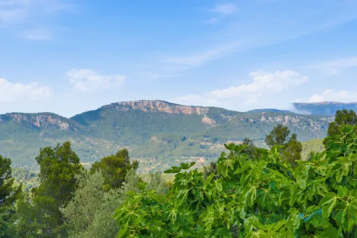 Esporles, Picturesque Finca in Esporles in the Tramuntana Mountains with Panoramic Views — photo 6