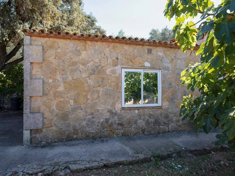 8,000 m² finca with 5 rooms, pool and garage for sale — photo 7