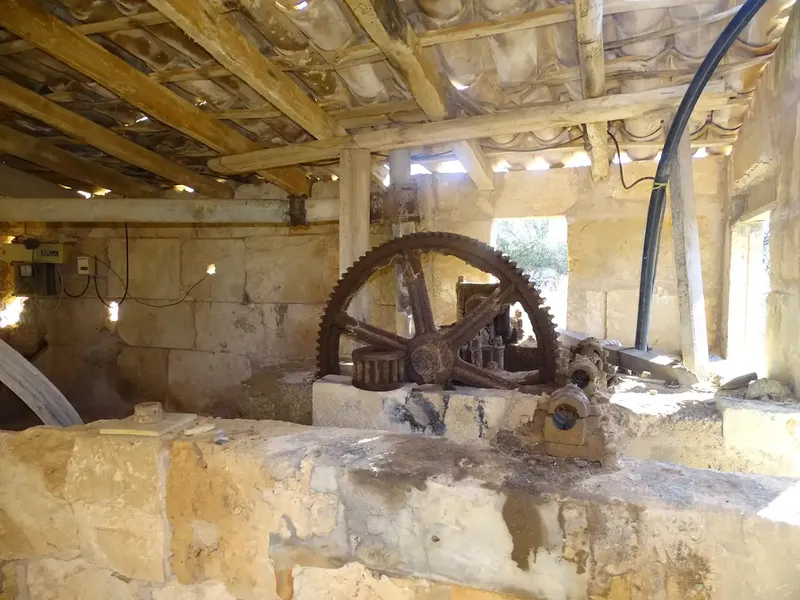 Rustic estate of 40,000 m2 with 485 m2 built — photo 11