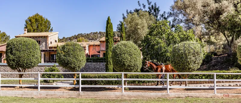 Mediterranean finca in Calvia with horse stables and large pool — photo 1