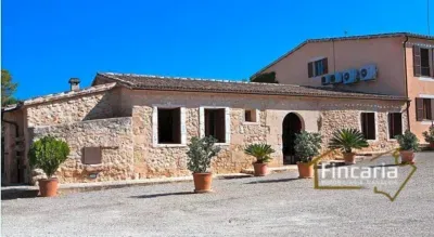 Rustic finca on the road from Manacor to Porto Cristo — photo 4