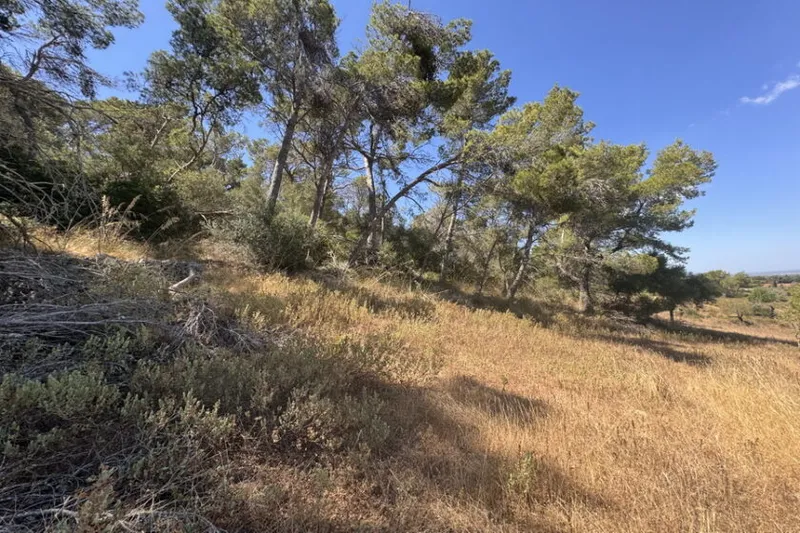 Dream plot with basic project and mountain views near Es Carritxo — T 20 — photo 4