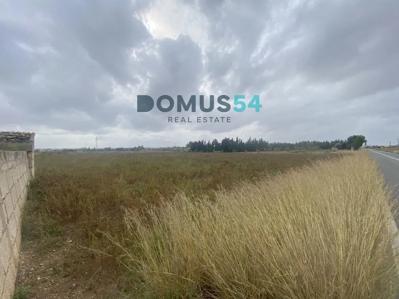 plot in Sa Pobla — photo 4