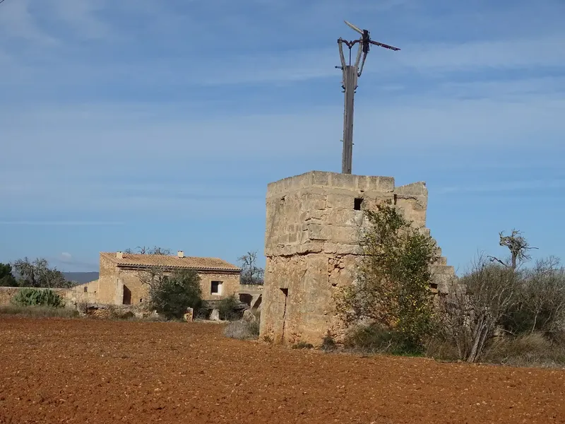 Estate of more than 22,000 m2, located between Campos and Santanyi, within the municipality of Campos, about three kilometers from the village of Campos — photo 2