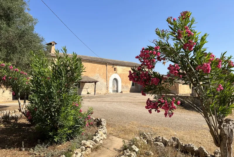 Rustic estate of 58 ha in Vilafranca — photo 1