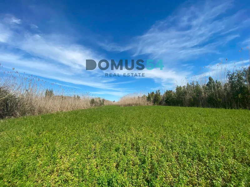 Rustic land not to be built on in Sa Pobla — photo 2