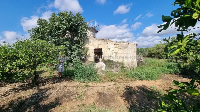 Discover this charming rustic retreat in Muro, in the heart of the Balearics — photo 10