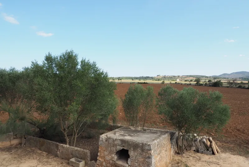 Rustic finca to renovate in San Lorenzo — photo 8