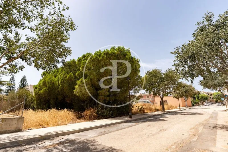 Land in Binissalem, Province of Balearic Islands — photo 11