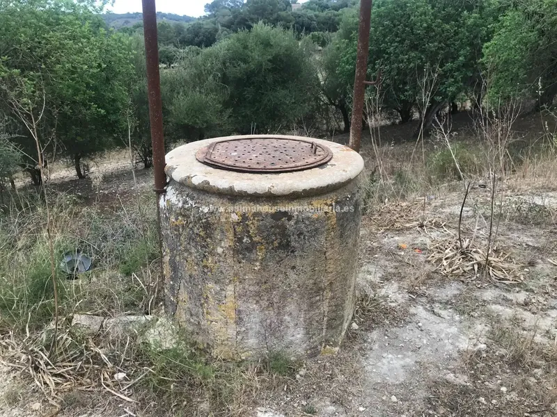 Old house surrounded by nature and with many possibilities!! Palma House Inmobiliaria offers you this spectacular rustic plot of about — photo 3