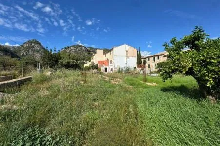 Urban Plot of Land - Selva (Caimari) — photo 4