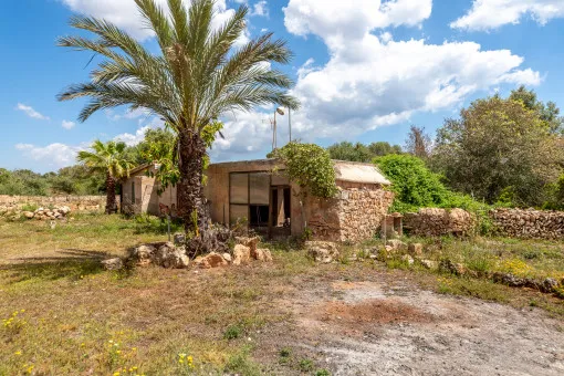 Vallgornera, rustic finca with great potential in Vallgornera — photo 5