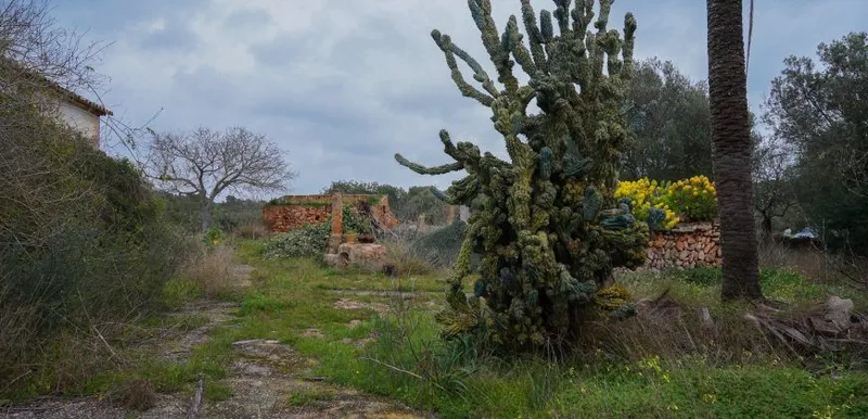 Rustic estate near Cala Pí — 136,400 m², Llucmajor area, 10 min from the coast — photo 12