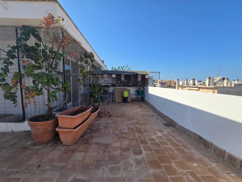 Penthouse - Palma de Mallorca (S´Arenal) , Built Surface 95m 2 , 3 Bedrooms, 1 Bathrooms. — photo 9