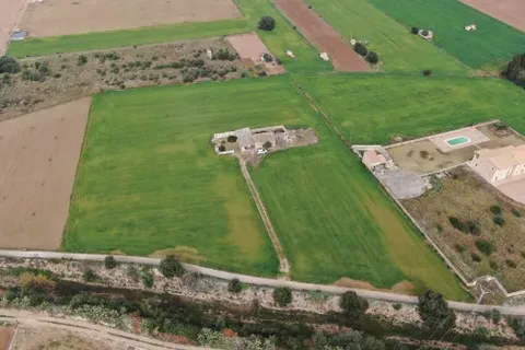 Land in Sa Pobla, Mallorca — photo 9