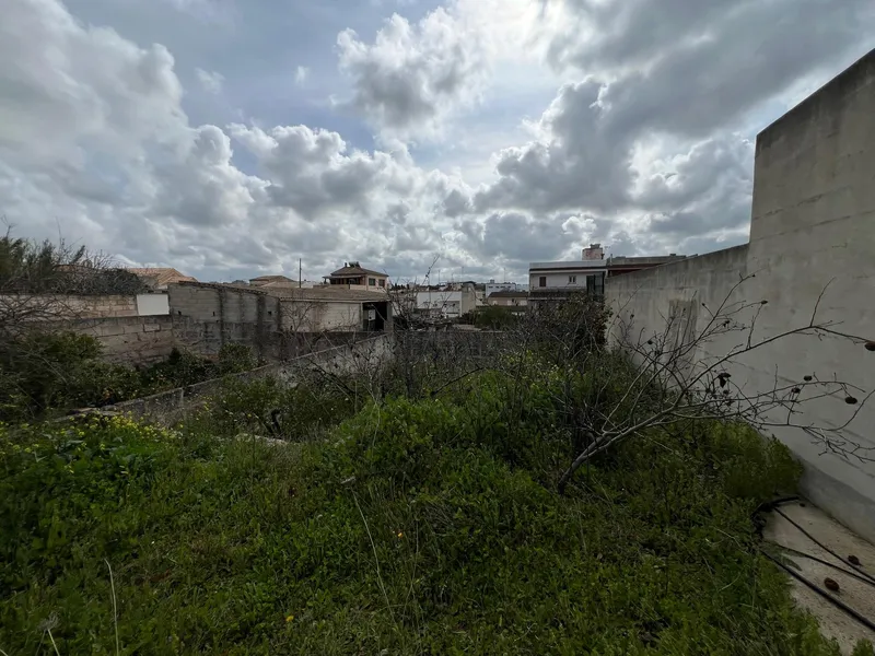 Large Plot with Building Potential in Muro — photo 3