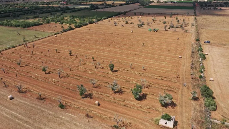 Plot with beautiful open views on a quiet plot 5 minutes from Campos — photo 1