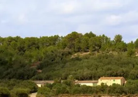 Rustic Finca in Predominant Position — photo 2