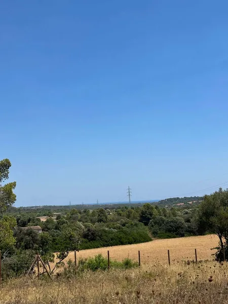 Beautiful building plot near Manacor — photo 3
